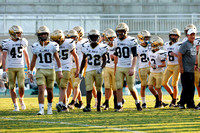 SPX FRESMAN / JV 2022